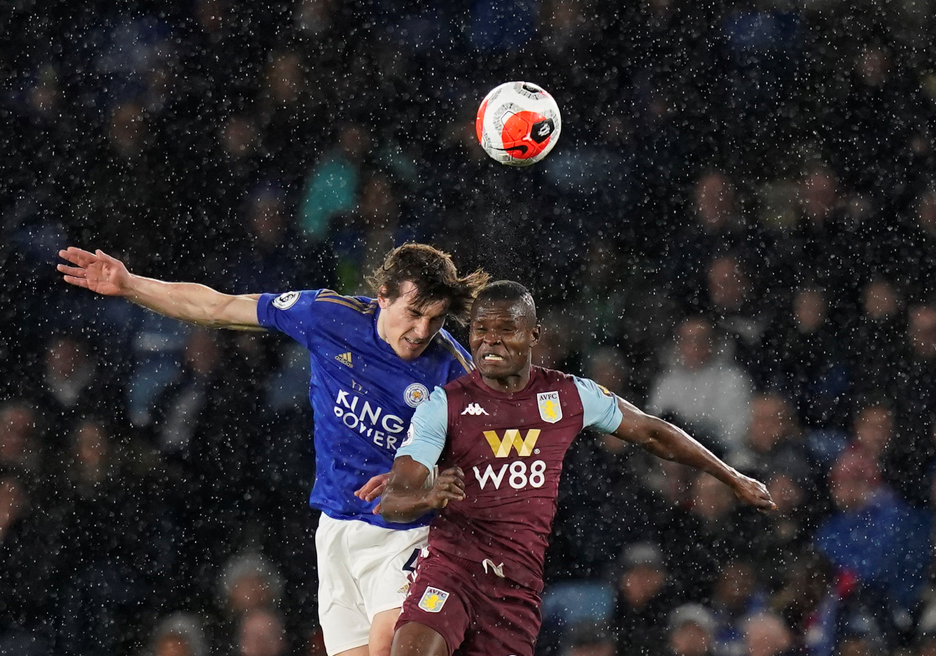 🧢 蓝狐“戴帽兄弟会”.