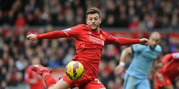 仅展示了莫 仅展示了莫